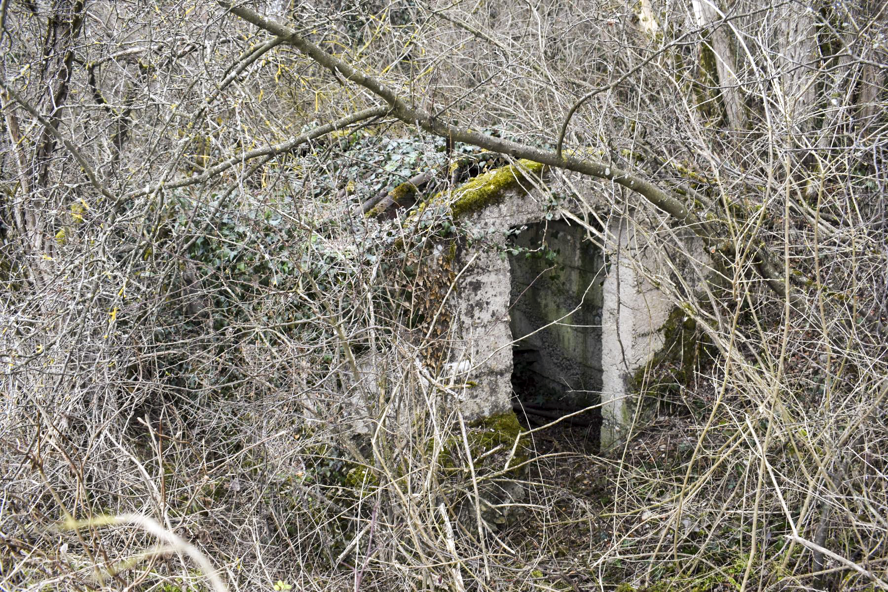 Ligne Maginot - LANGER ZUG 4 - (Abri) - Entrée sud de l'abri - Daniel Froehly