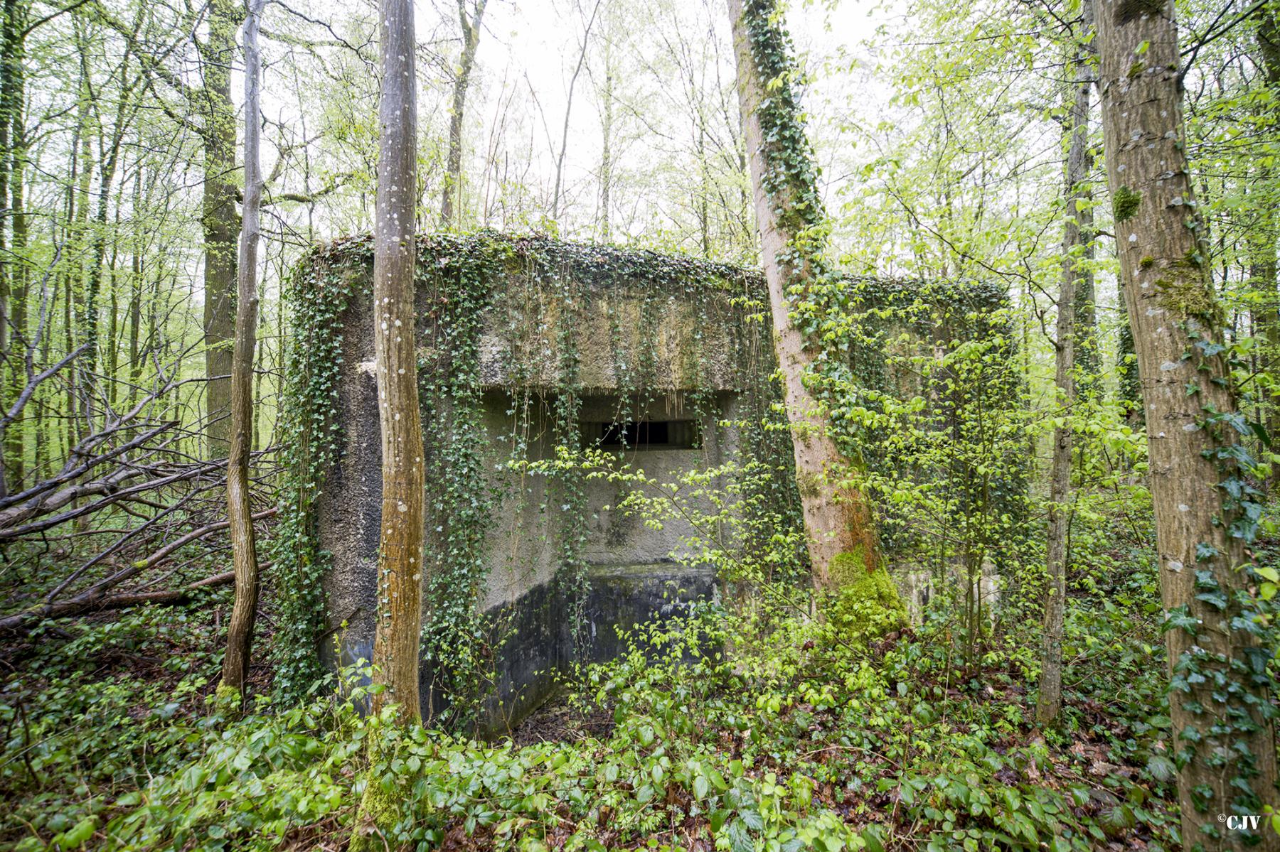 Ligne Maginot - A12 - ACCOTEMENT EST - (Blockhaus pour canon) -  - Lia VERMEULEN