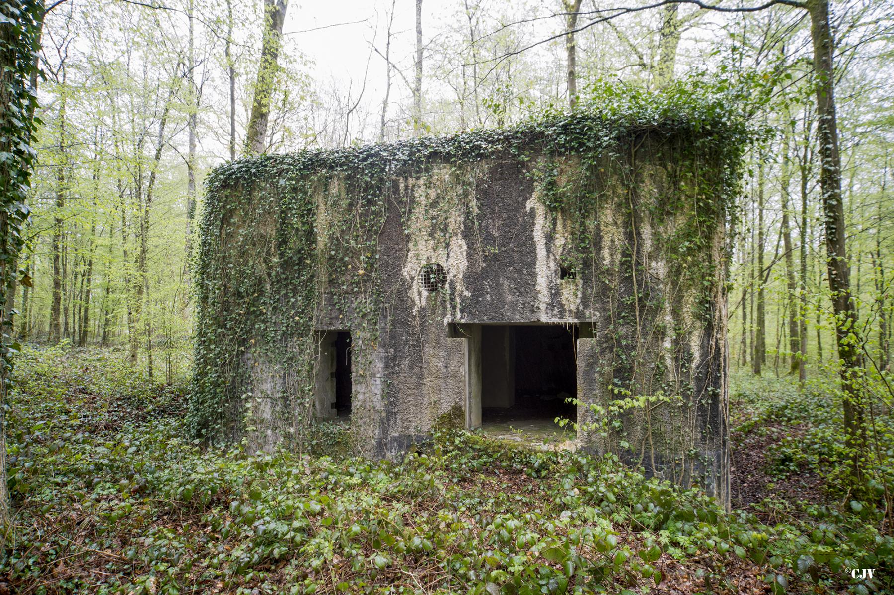 Ligne Maginot - A12 - ACCOTEMENT EST - (Blockhaus pour canon) - Les entrées - Lia VERMEULEN