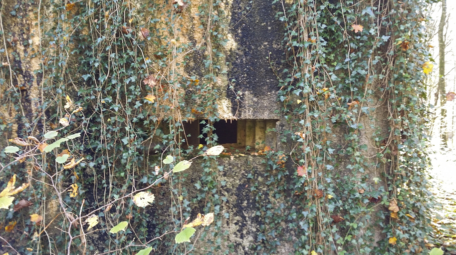 Ligne Maginot - A12 - ACCOTEMENT EST - (Blockhaus pour canon) -  - Patrice Vilain