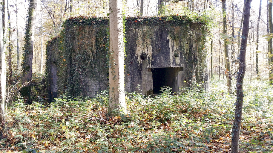 Ligne Maginot - A12 - ACCOTEMENT EST - (Blockhaus pour canon) -  - Patrice Vilain