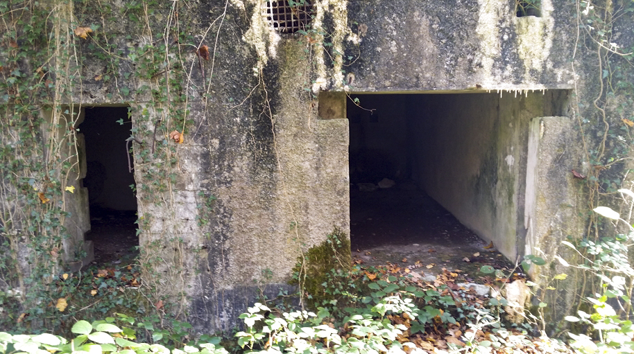 Ligne Maginot - A12 - ACCOTEMENT EST - (Blockhaus pour canon) -  - Patrice Vilain