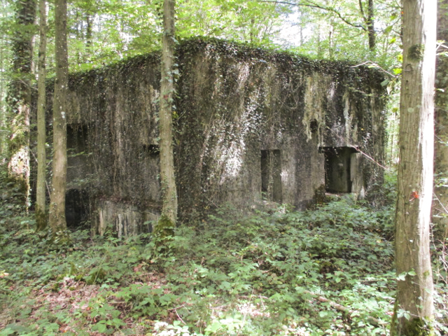 Ligne Maginot - A12 - ACCOTEMENT EST - (Blockhaus pour canon) -  - Randonneur62