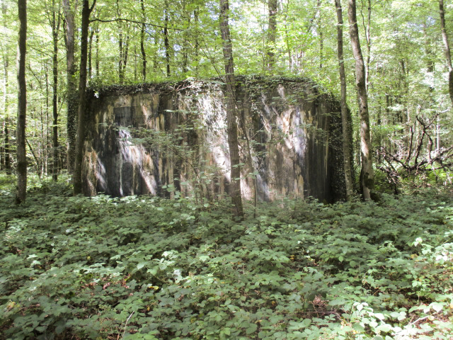 Ligne Maginot - A12 - ACCOTEMENT EST - (Blockhaus pour canon) -  - Randonneur62