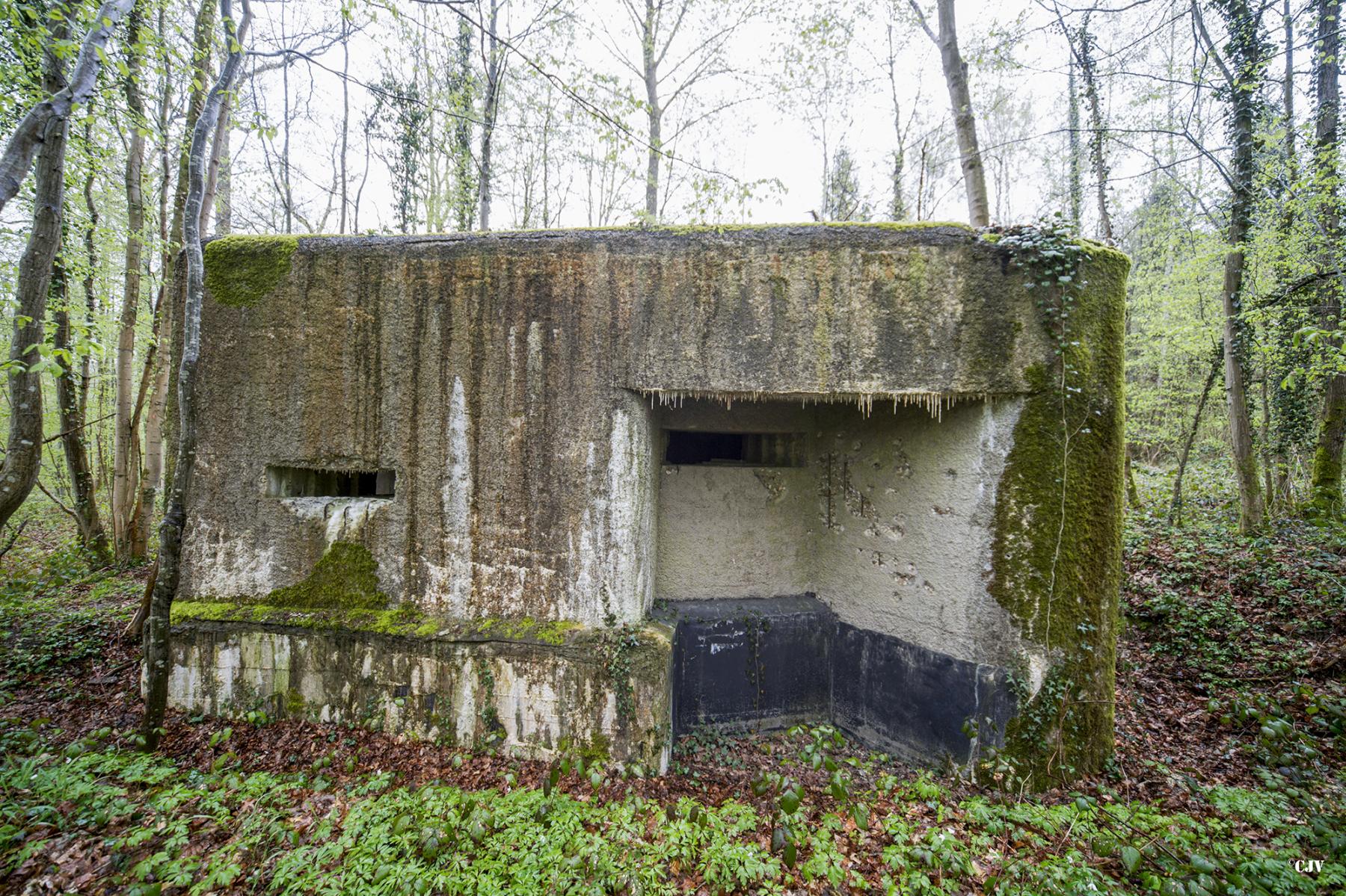 Ligne Maginot - A13 - SAINT MICHEL - (Blockhaus pour canon) -  - Lia VERMEULEN