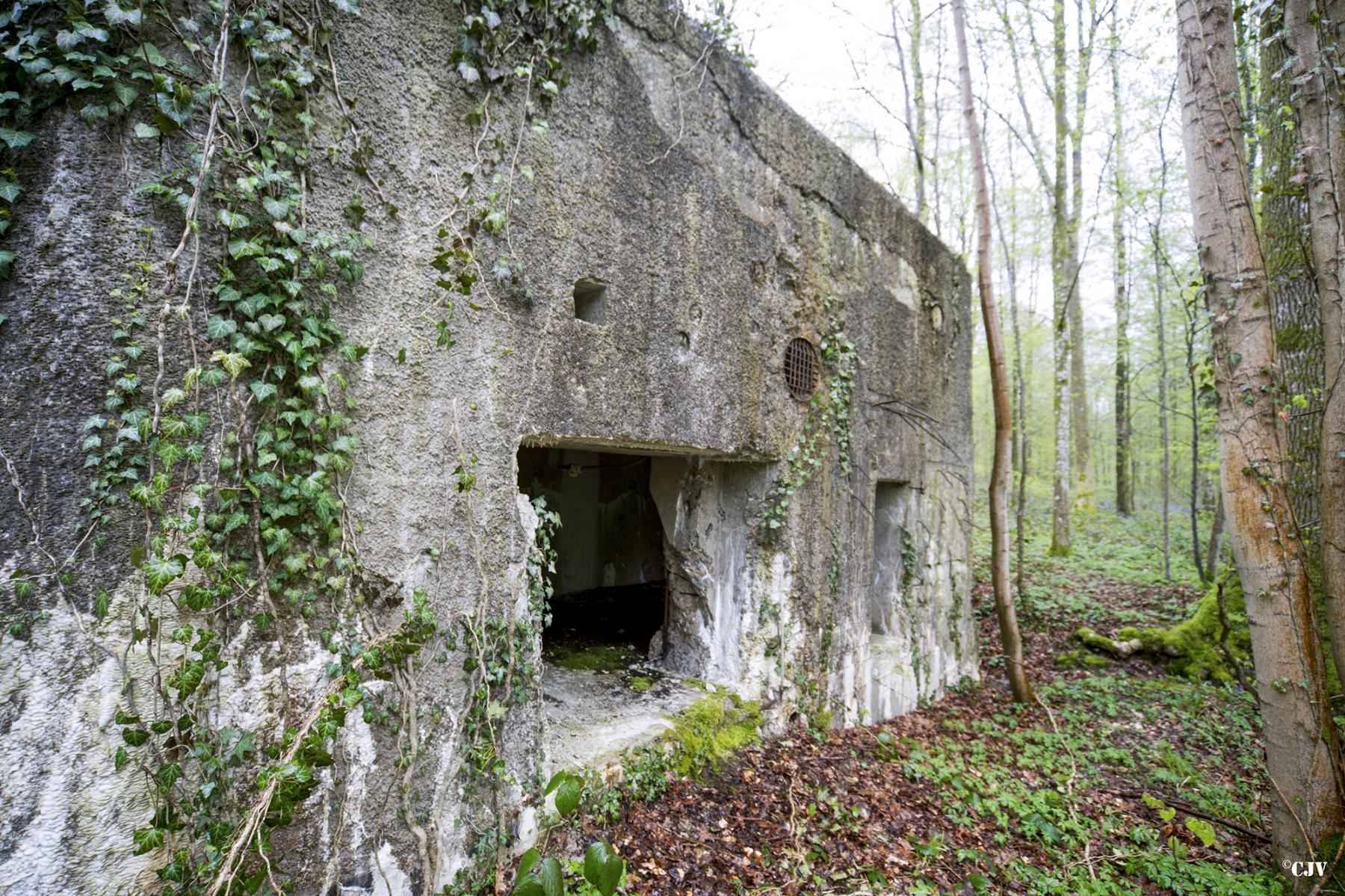 Ligne Maginot - A13 - SAINT MICHEL - (Blockhaus pour canon) -  - Lia VERMEULEN