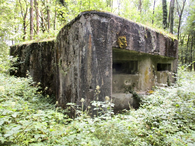 Ligne Maginot - A25 - PATTE D'OIE - (Blockhaus pour canon) -  - Randonneur62