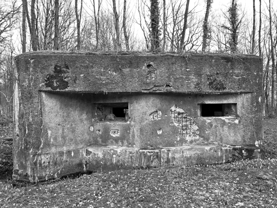 Ligne Maginot - A25 - PATTE D'OIE - (Blockhaus pour canon) - Façade Ouest - François PECHEUX