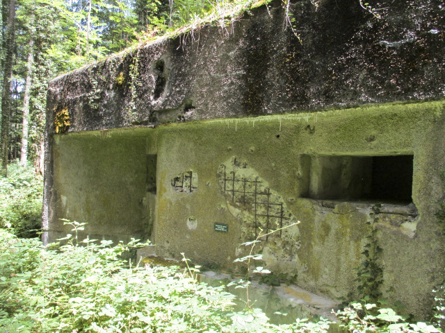 Ligne Maginot - A25 - PATTE D'OIE - (Blockhaus pour canon) -  - Randonneur62