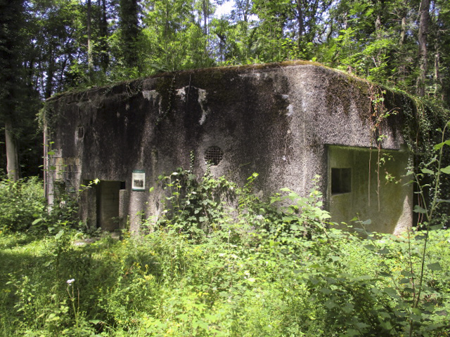 Ligne Maginot - A25 - PATTE D'OIE - (Blockhaus pour canon) -  - Randonneur62
