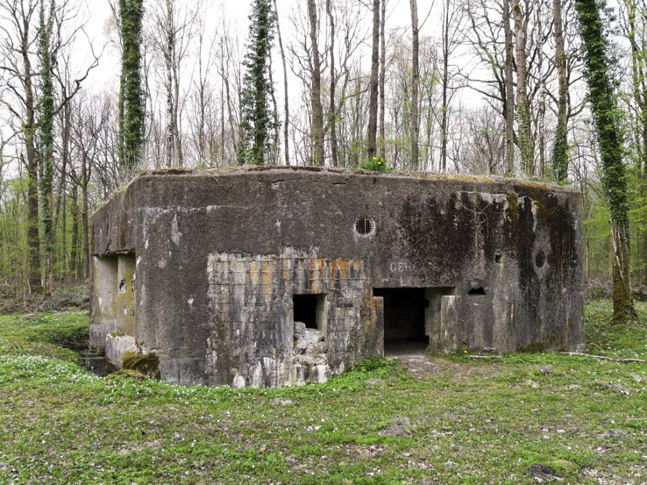 Ligne Maginot - A25 - PATTE D'OIE - (Blockhaus pour canon) - Façade arriére - François PECHEUX