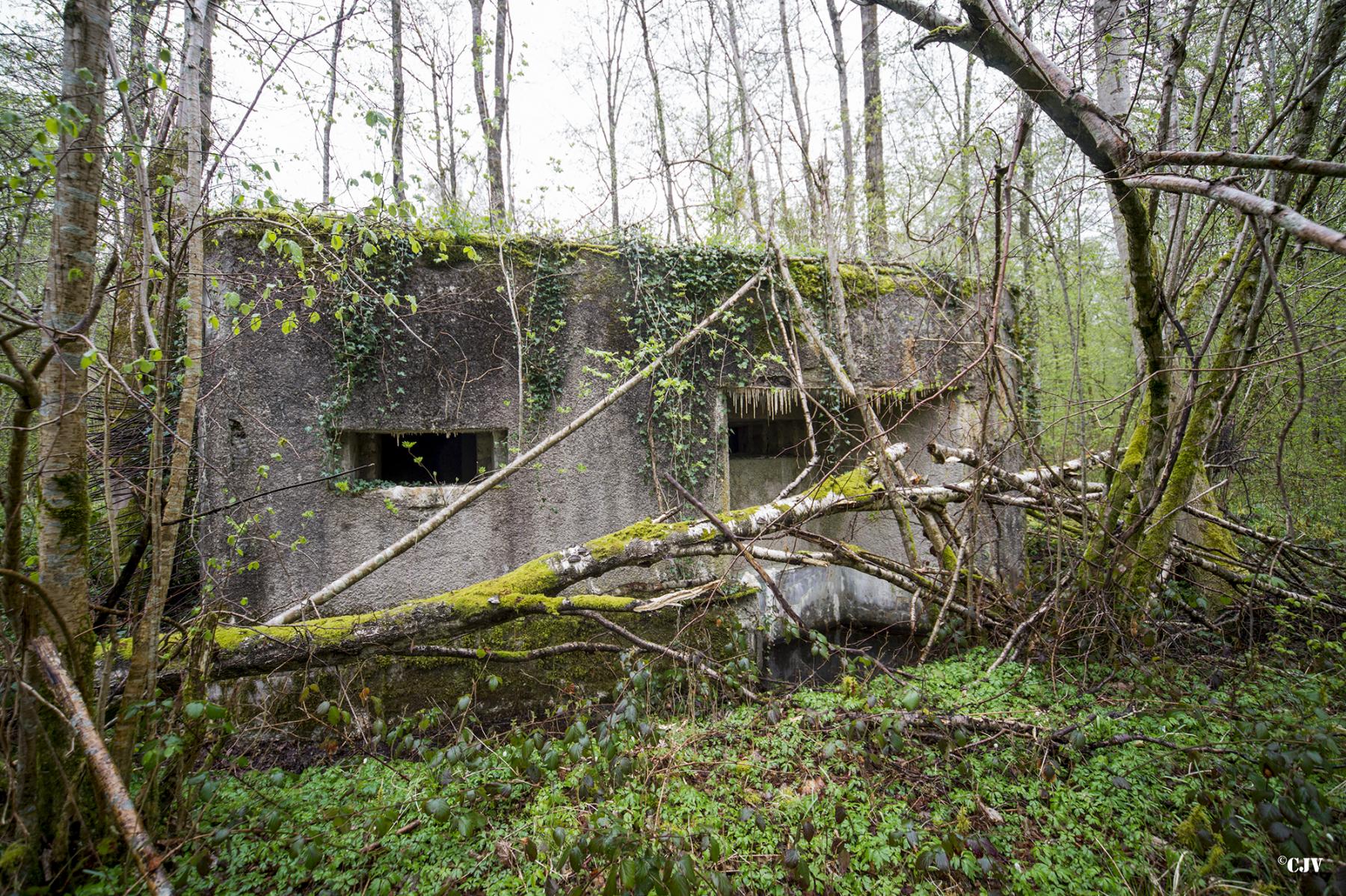 Ligne Maginot - A20 - PEUPLIER OUEST - (Blockhaus pour canon) -  - Lia VERMEULEN