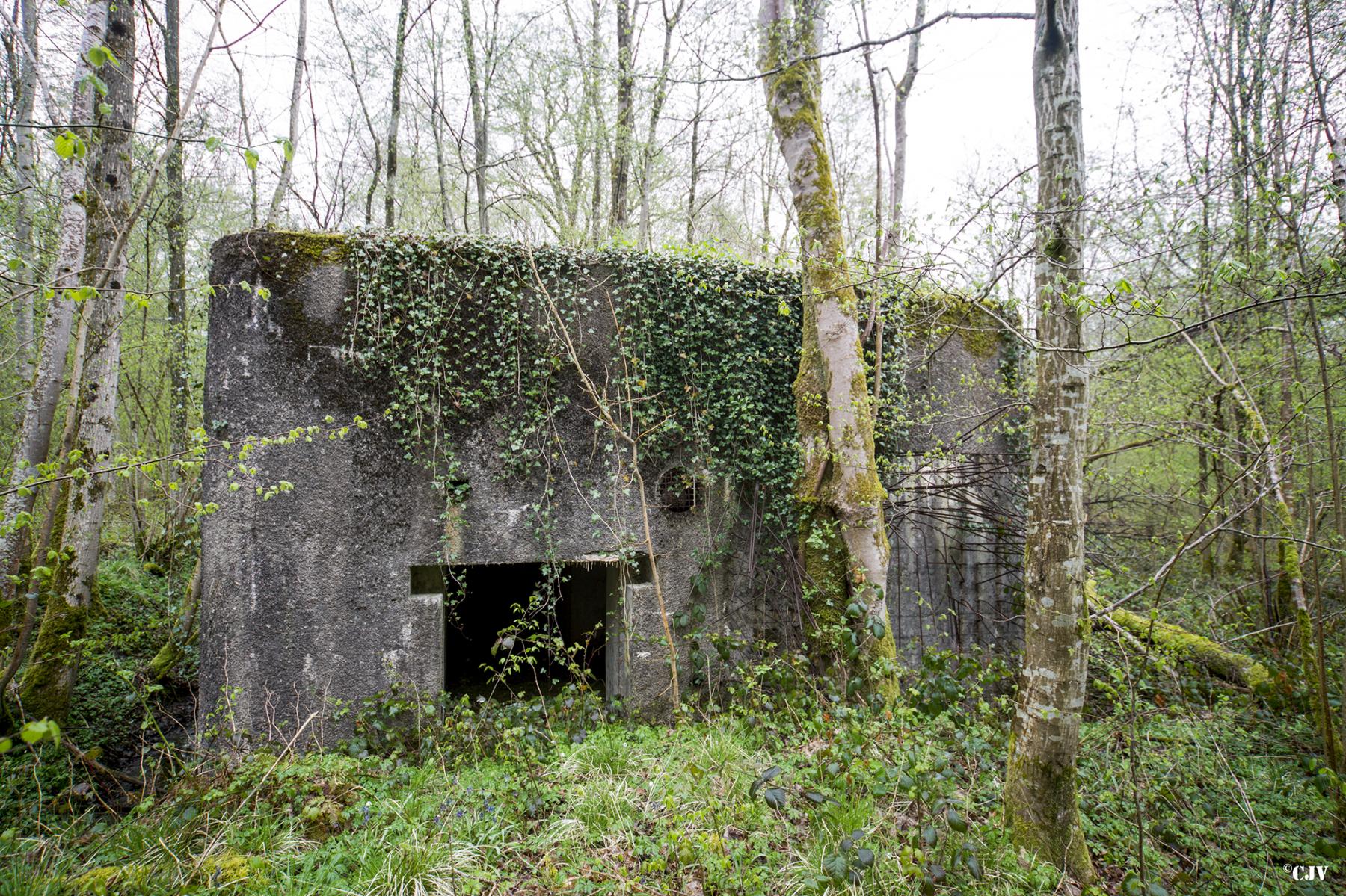 Ligne Maginot - A20 - PEUPLIER OUEST - (Blockhaus pour canon) -  - Lia VERMEULEN