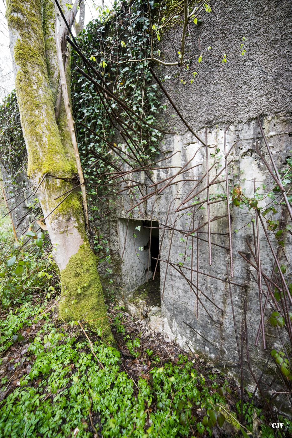 Ligne Maginot - A20 - PEUPLIER OUEST - (Blockhaus pour canon) -  - Lia VERMEULEN