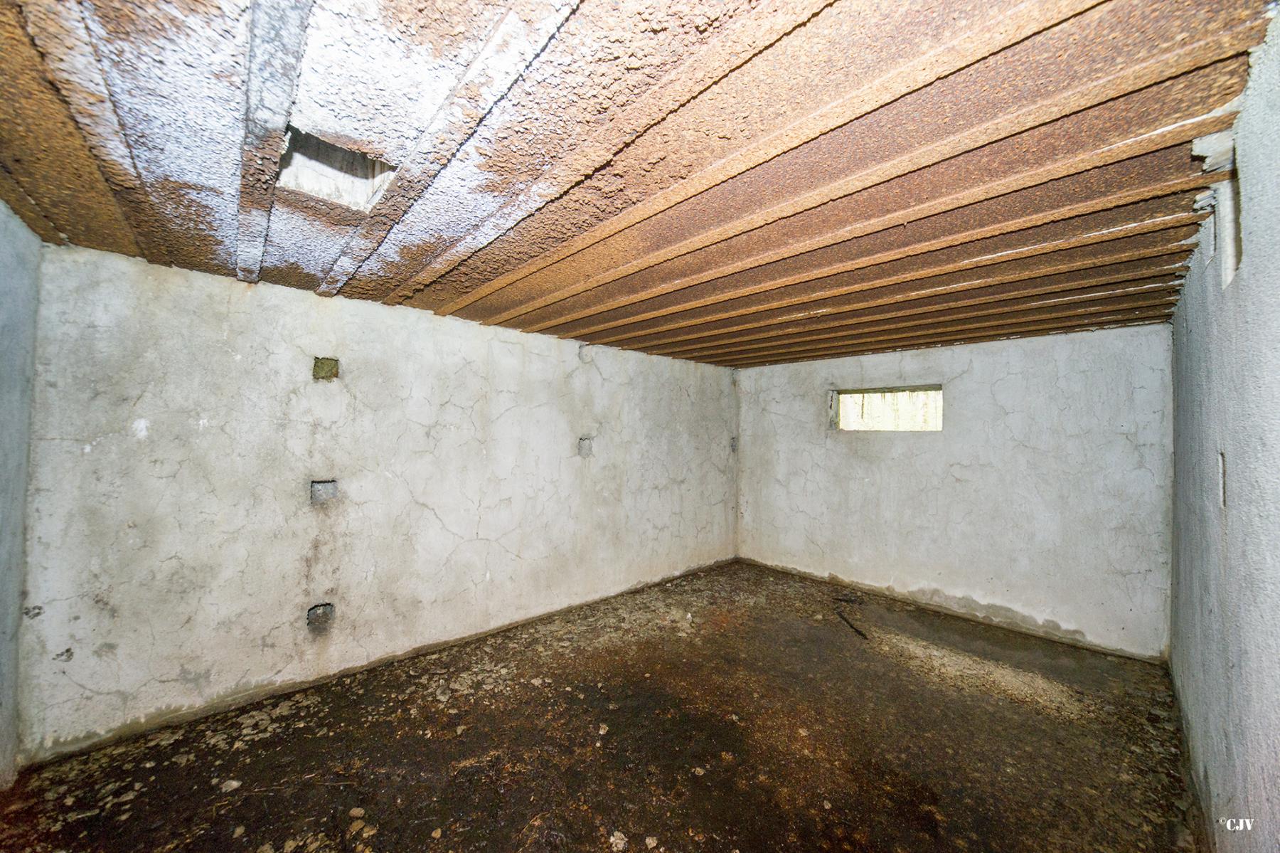 Ligne Maginot - A20 - PEUPLIER OUEST - (Blockhaus pour canon) -  - Lia VERMEULEN
