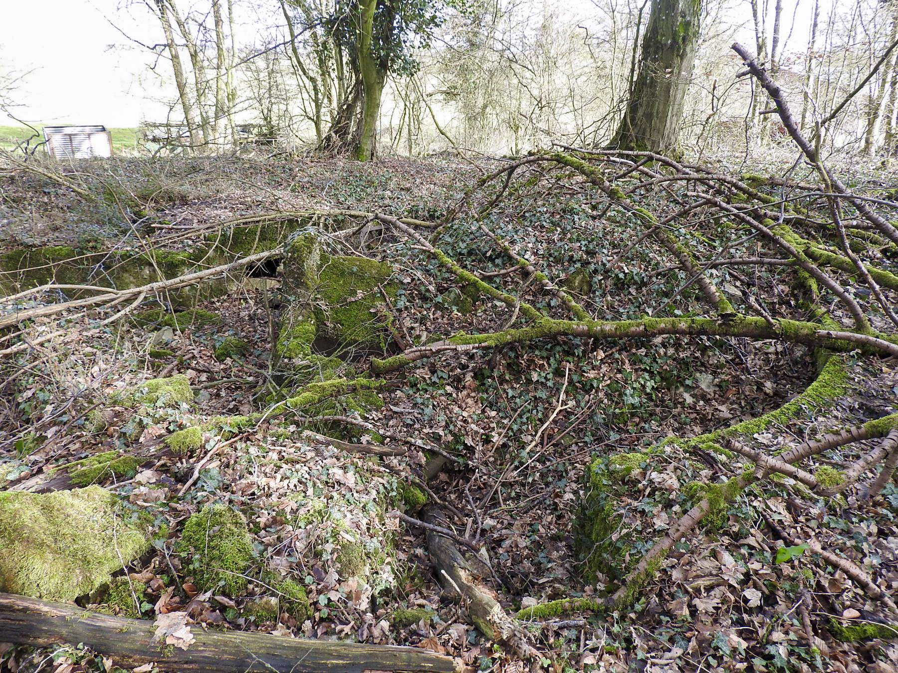 Ligne Maginot - AC5 - (Cuve pour canon) -  - STENGER Mathieu