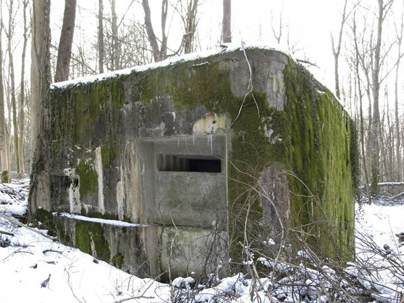 Ligne Maginot - A24 - FRENE - (Blockhaus pour canon) -  - François MATHOT