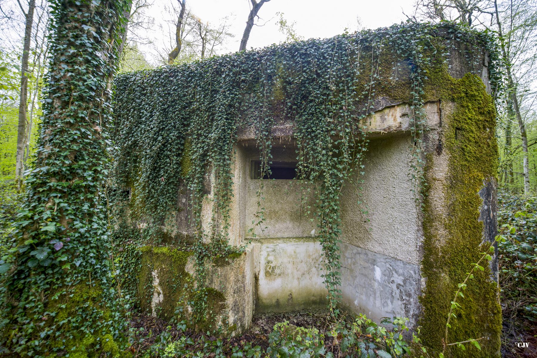 Ligne Maginot - A24 - FRENE - (Blockhaus pour canon) -  - Lia VERMEULEN