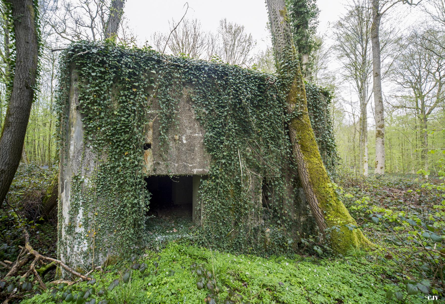 Ligne Maginot - A24 - FRENE - (Blockhaus pour canon) -  - Lia VERMEULEN