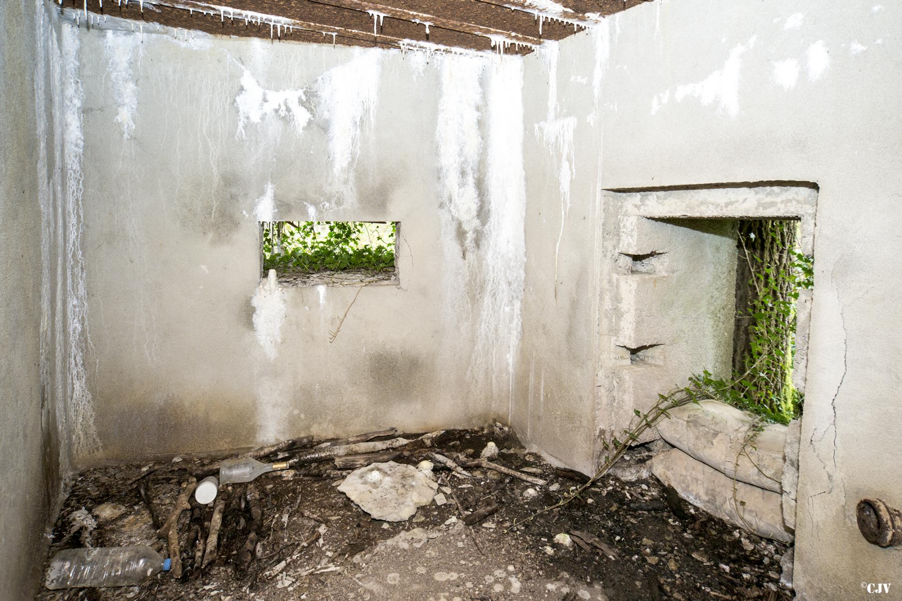 Ligne Maginot - A24 - FRENE - (Blockhaus pour canon) -  - Lia VERMEULEN