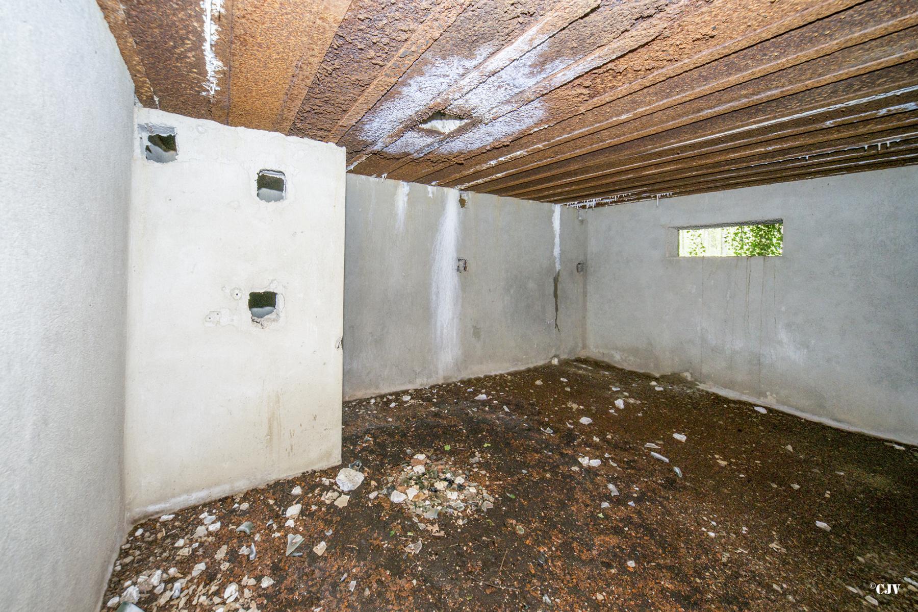 Ligne Maginot - A24 - FRENE - (Blockhaus pour canon) -  - Lia VERMEULEN