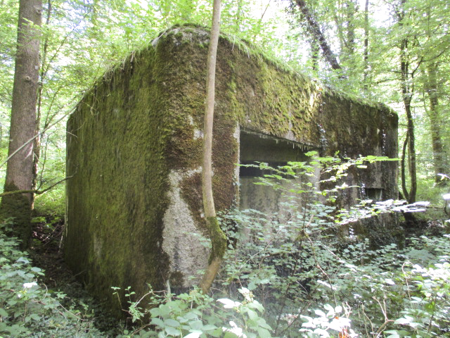 Ligne Maginot - A14 - LE CHARBONNIER - (Blockhaus pour canon) -  - Randonneur62
