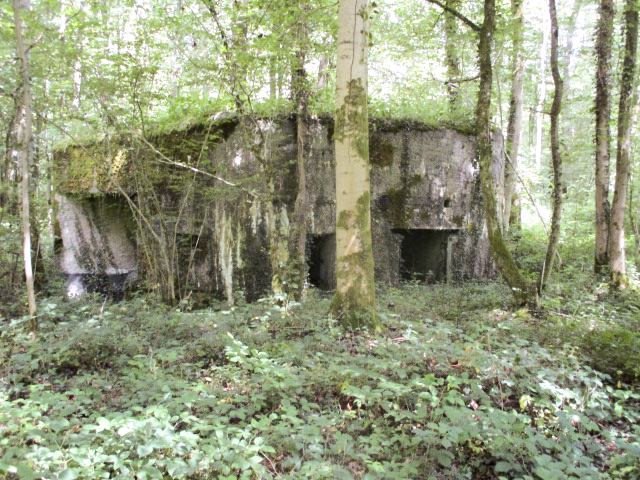 Ligne Maginot - A14 - LE CHARBONNIER - (Blockhaus pour canon) -  - Randonneur62