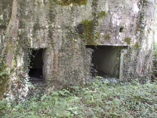 Ligne Maginot - A14 - LE CHARBONNIER - (Blockhaus pour canon) -  - Randonneur62