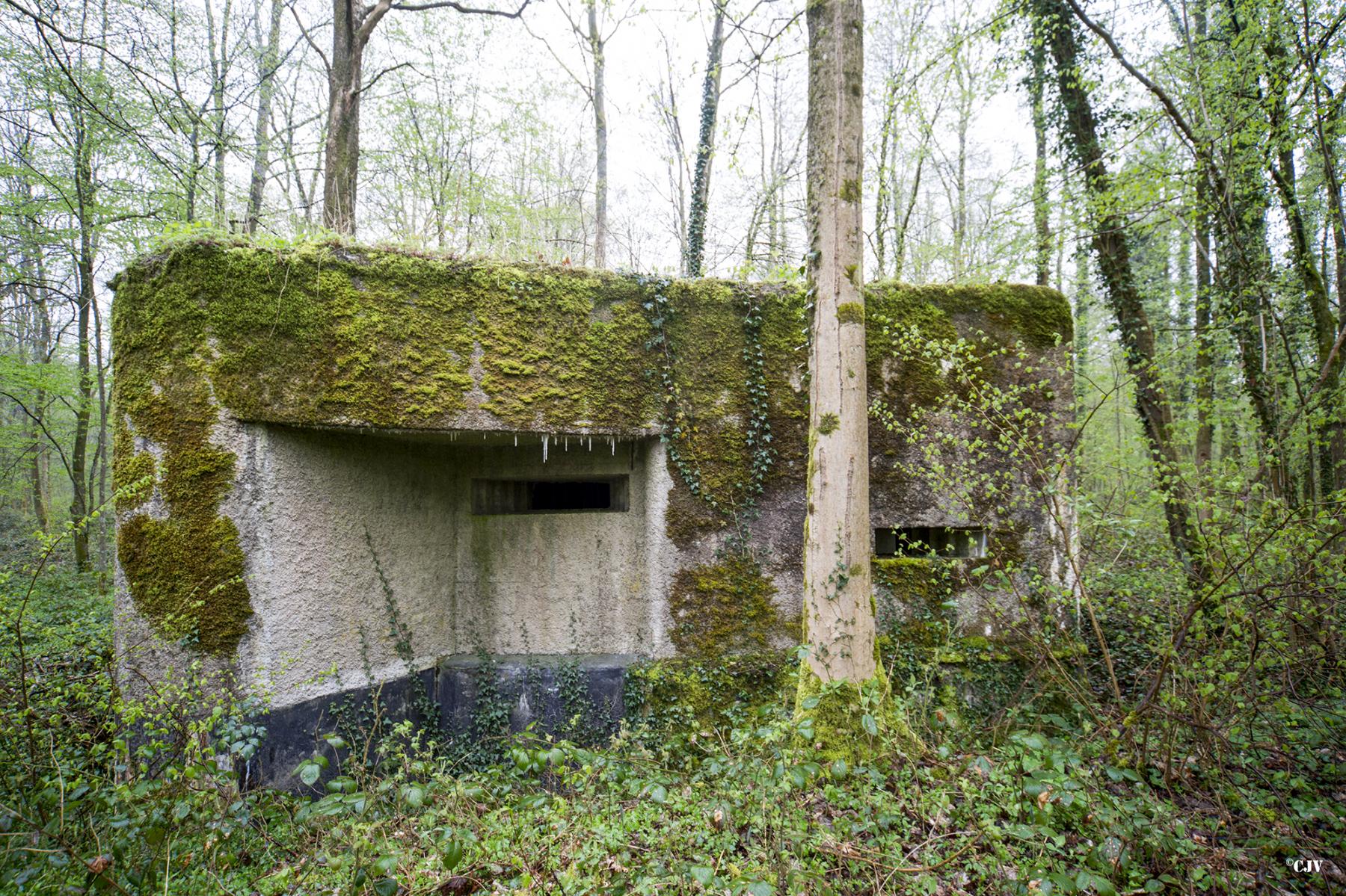 Ligne Maginot - A14 - LE CHARBONNIER - (Blockhaus pour canon) -  - Lia VERMEULEN