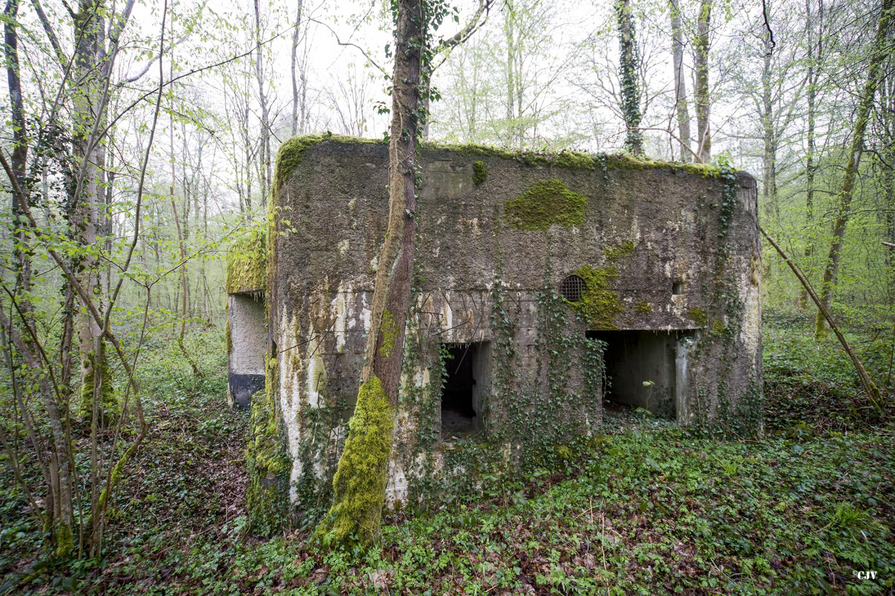 Ligne Maginot - A14 - LE CHARBONNIER - (Blockhaus pour canon) -  - Lia VERMEULEN