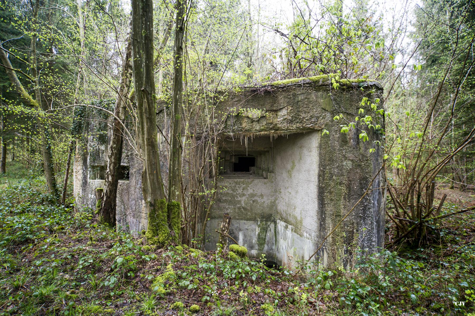 Ligne Maginot - A15 - LE BUCHERON - (Blockhaus pour canon) -  - Lia VERMEULEN