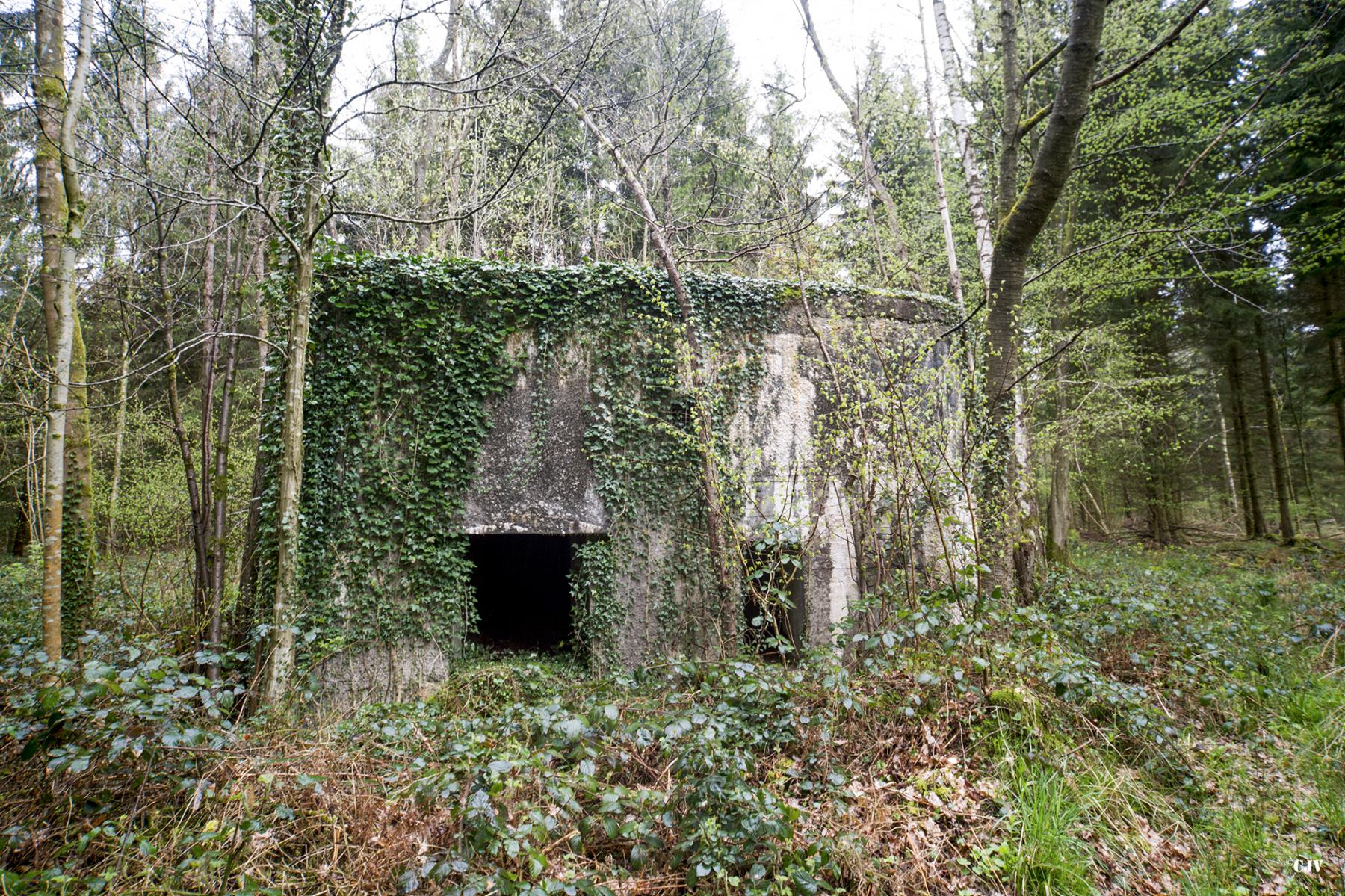 Ligne Maginot - A15 - LE BUCHERON - (Blockhaus pour canon) -  - Lia VERMEULEN