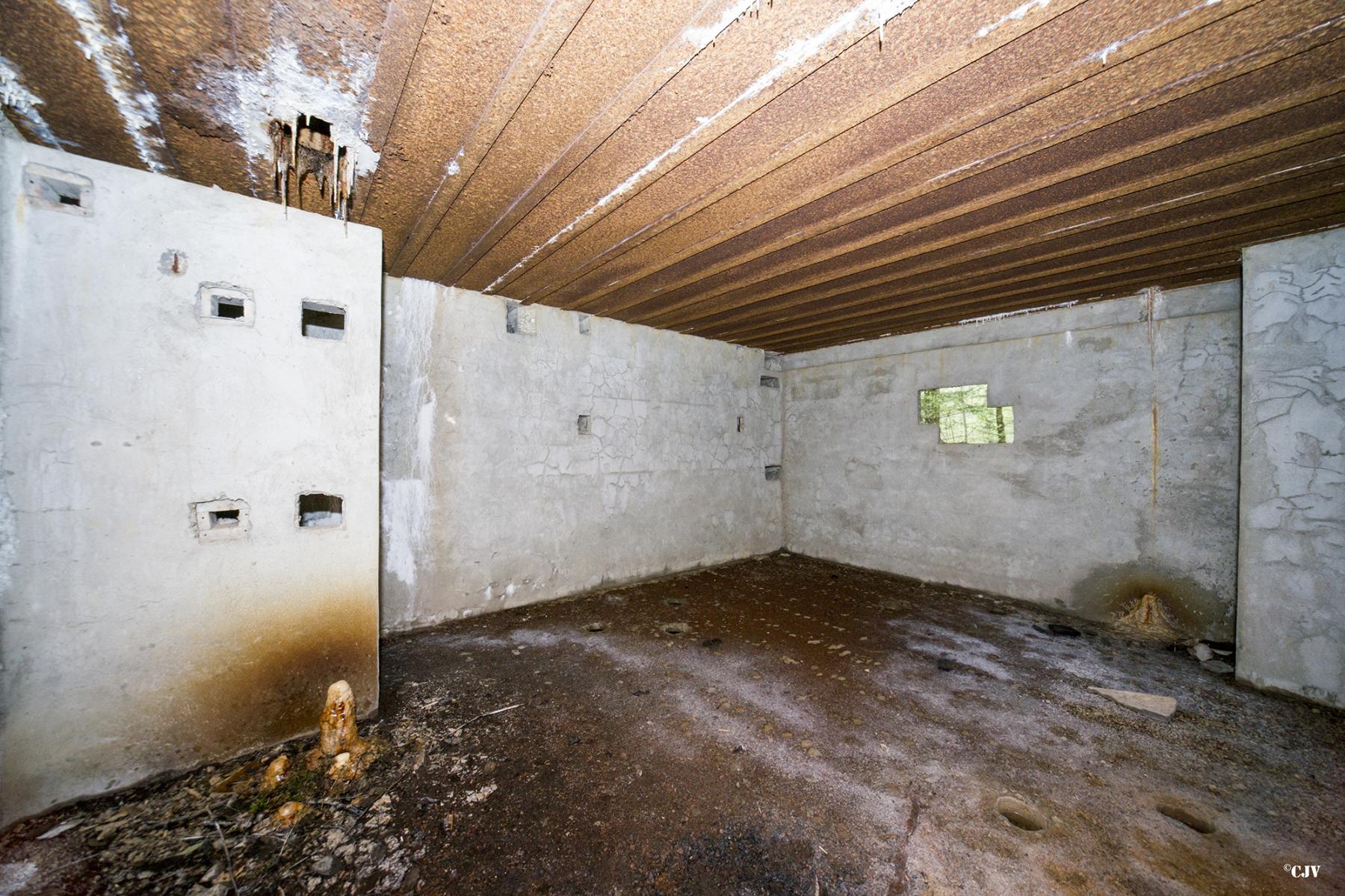 Ligne Maginot - A15 - LE BUCHERON - (Blockhaus pour canon) -  - Lia VERMEULEN
