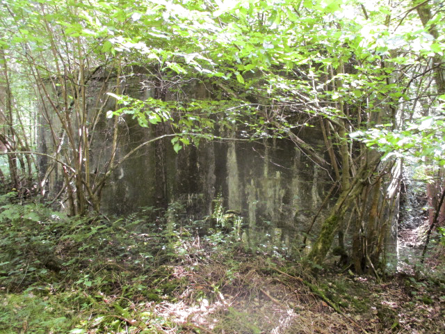 Ligne Maginot - A15 - LE BUCHERON - (Blockhaus pour canon) -  - Randonneur62