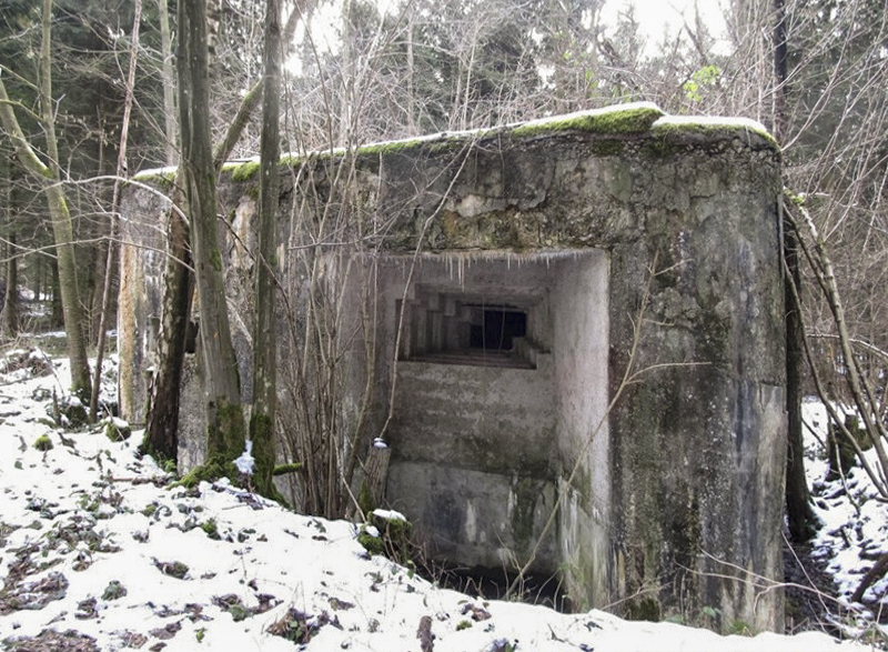 Ligne Maginot - A15 - LE BUCHERON - (Blockhaus pour canon) -  - François MATHOT