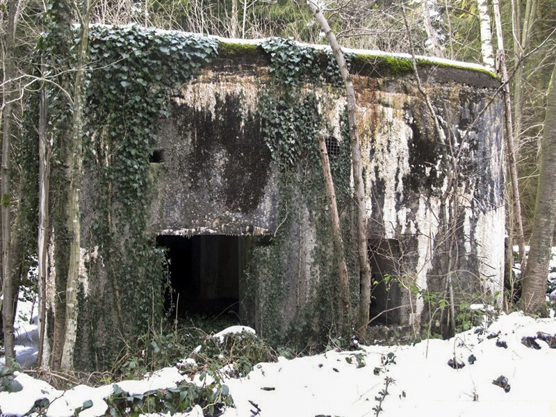 Ligne Maginot - A15 - LE BUCHERON - (Blockhaus pour canon) - Le entrées - François MATHOT