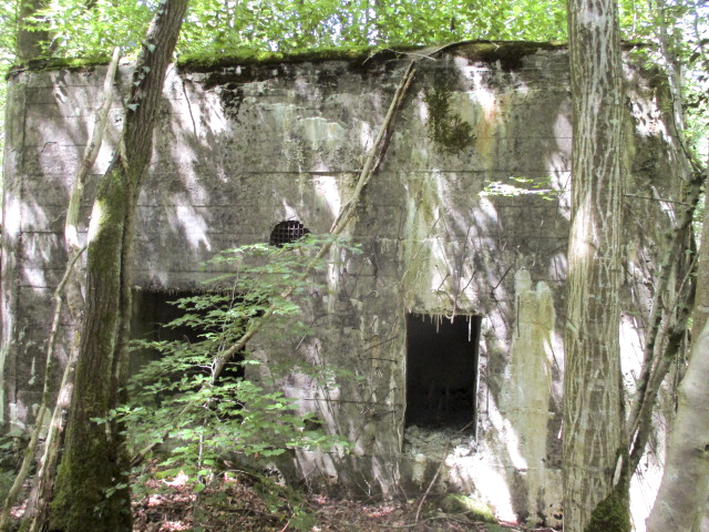 Ligne Maginot - A16 - SCIEUR - (Blockhaus pour canon) -  - Randonneur62