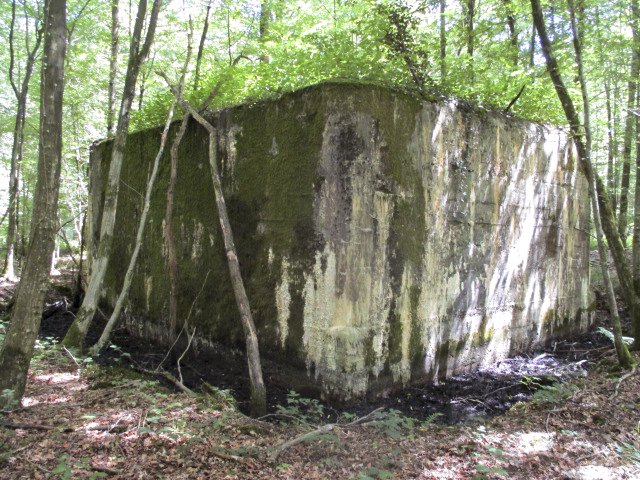 Ligne Maginot - A16 - SCIEUR - (Blockhaus pour canon) -  - Randonneur62