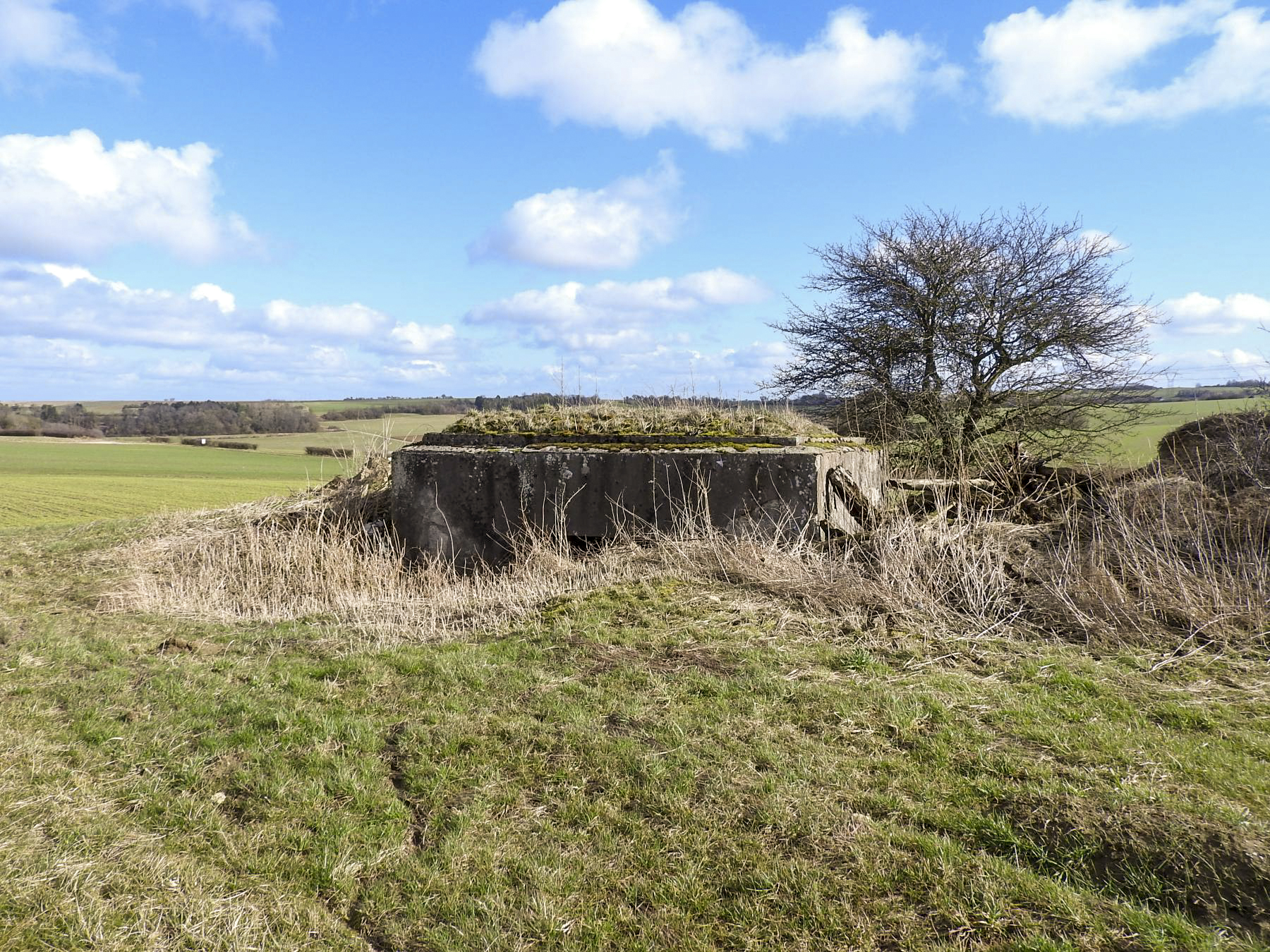 Ligne Maginot - AB18 - (Blockhaus pour canon) - Le blockhaus vu de l'arrière. - STENGER Mathieu