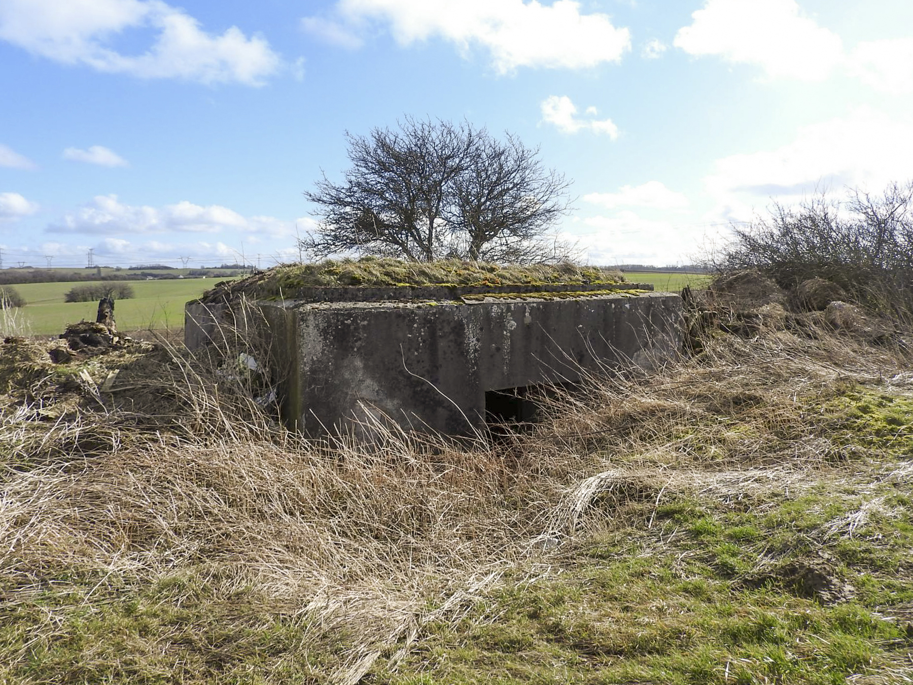 Ligne Maginot - AB18 - (Blockhaus pour canon) - La façade arrière avec son entrée. - STENGER Mathieu