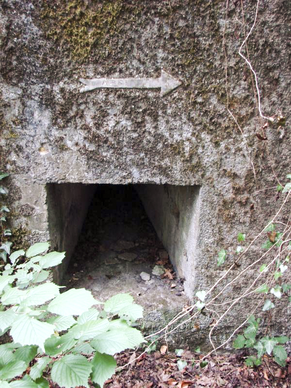 Ligne Maginot - KOENIGSMACKER (FESTE DE) - (Ouvrage d'artillerie) - Abri de piquet - Schnoupf