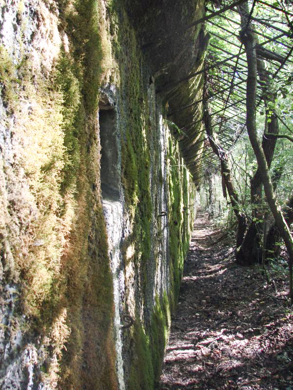Ligne Maginot - KOENIGSMACKER (FESTE DE) - (Ouvrage d'artillerie) - Mur d'escarpe - Schnoupf
