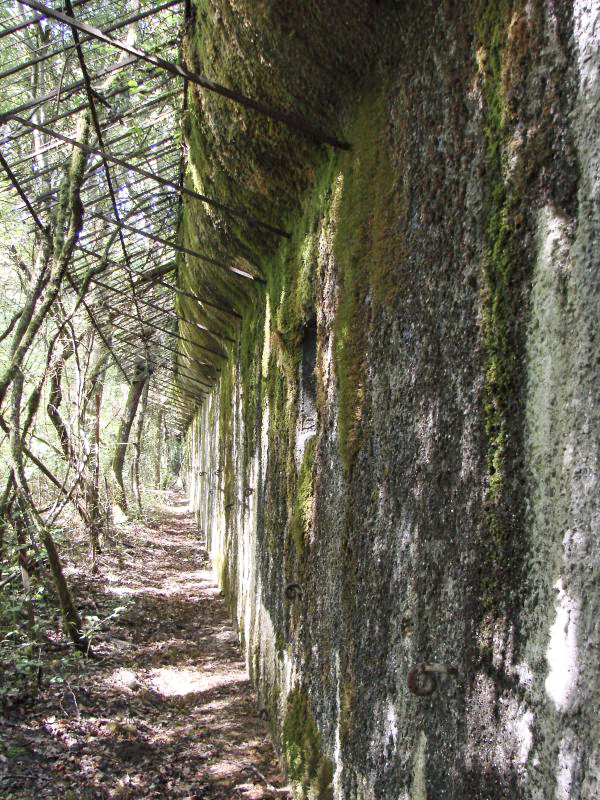 Ligne Maginot - KOENIGSMACKER (FESTE DE) - (Ouvrage d'artillerie) - Mur d'escarpe - Schnoupf