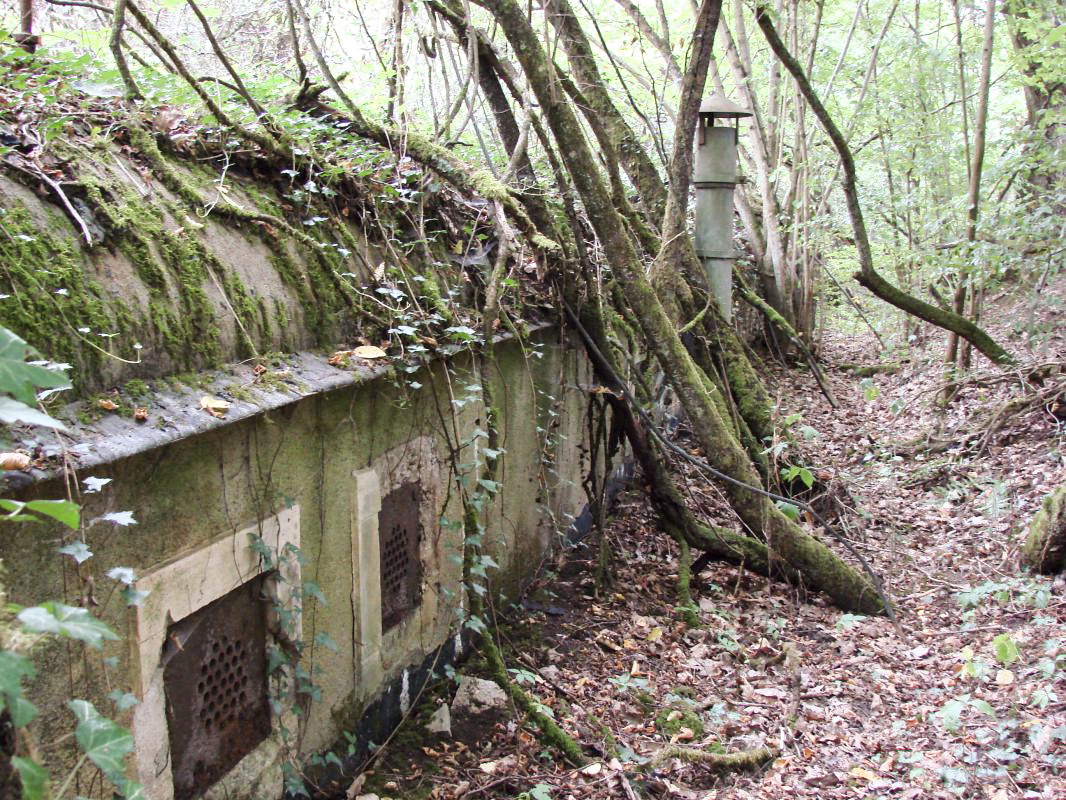 Ligne Maginot - KOENIGSMACKER (FESTE DE) - (Ouvrage d'artillerie) - Batterie - Schnoupf