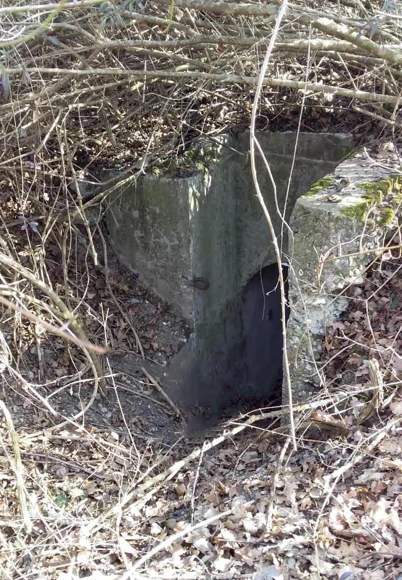 Ligne Maginot - KOENIGSWEG 1 - (Blockhaus pour arme infanterie) -  - Joel Muntzinger