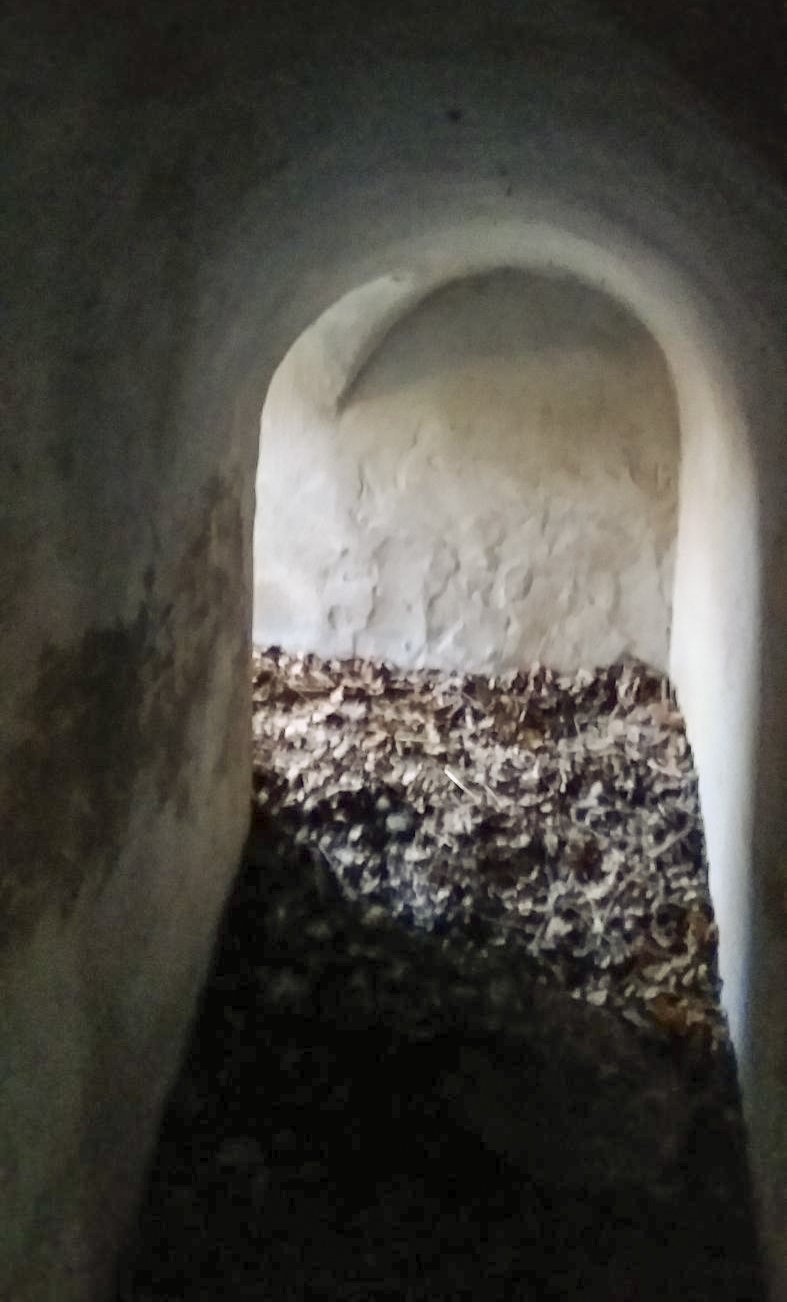 Ligne Maginot - KOENIGSWEG 1 - (Blockhaus pour arme infanterie) -  - Joel Muntzinger