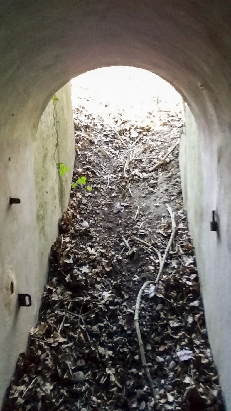 Ligne Maginot - KOENIGSWEG 1 - (Blockhaus pour arme infanterie) -  - Joel Muntzinger