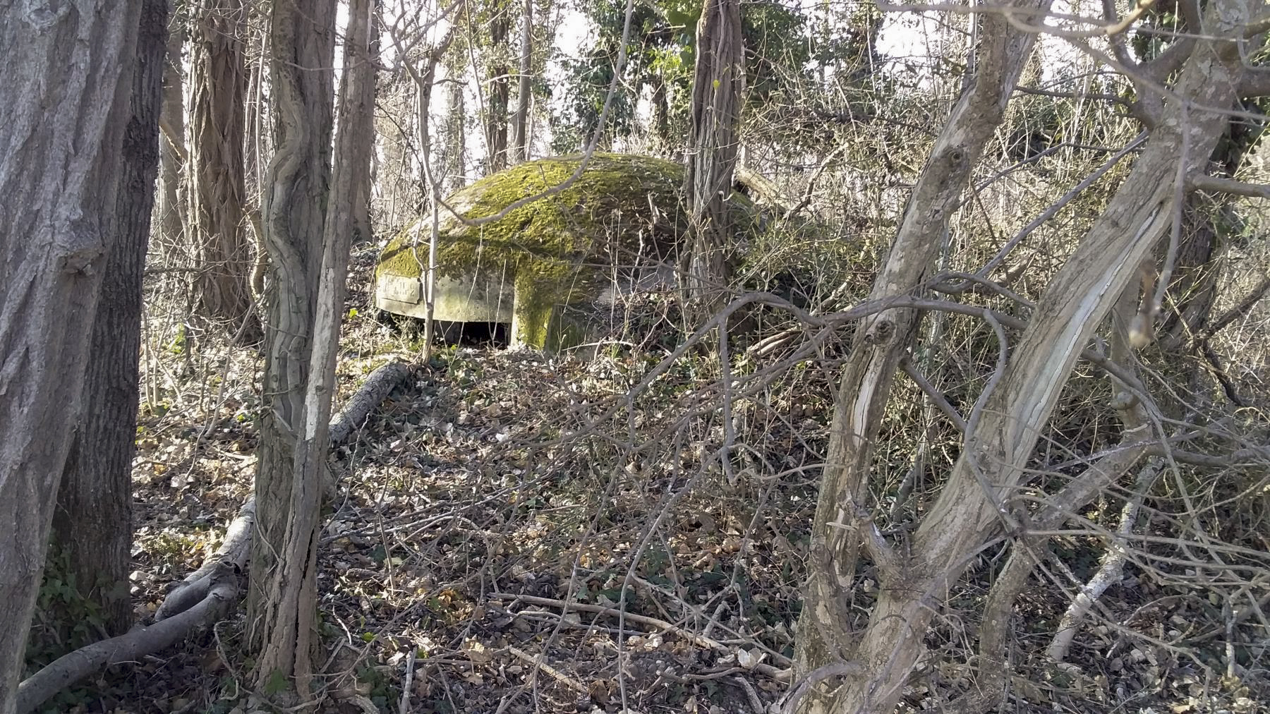 Ligne Maginot - AKAZIEN - GOLDGRUBE 3 - (Blockhaus pour arme infanterie) - Coupole - Joel Muntzinger