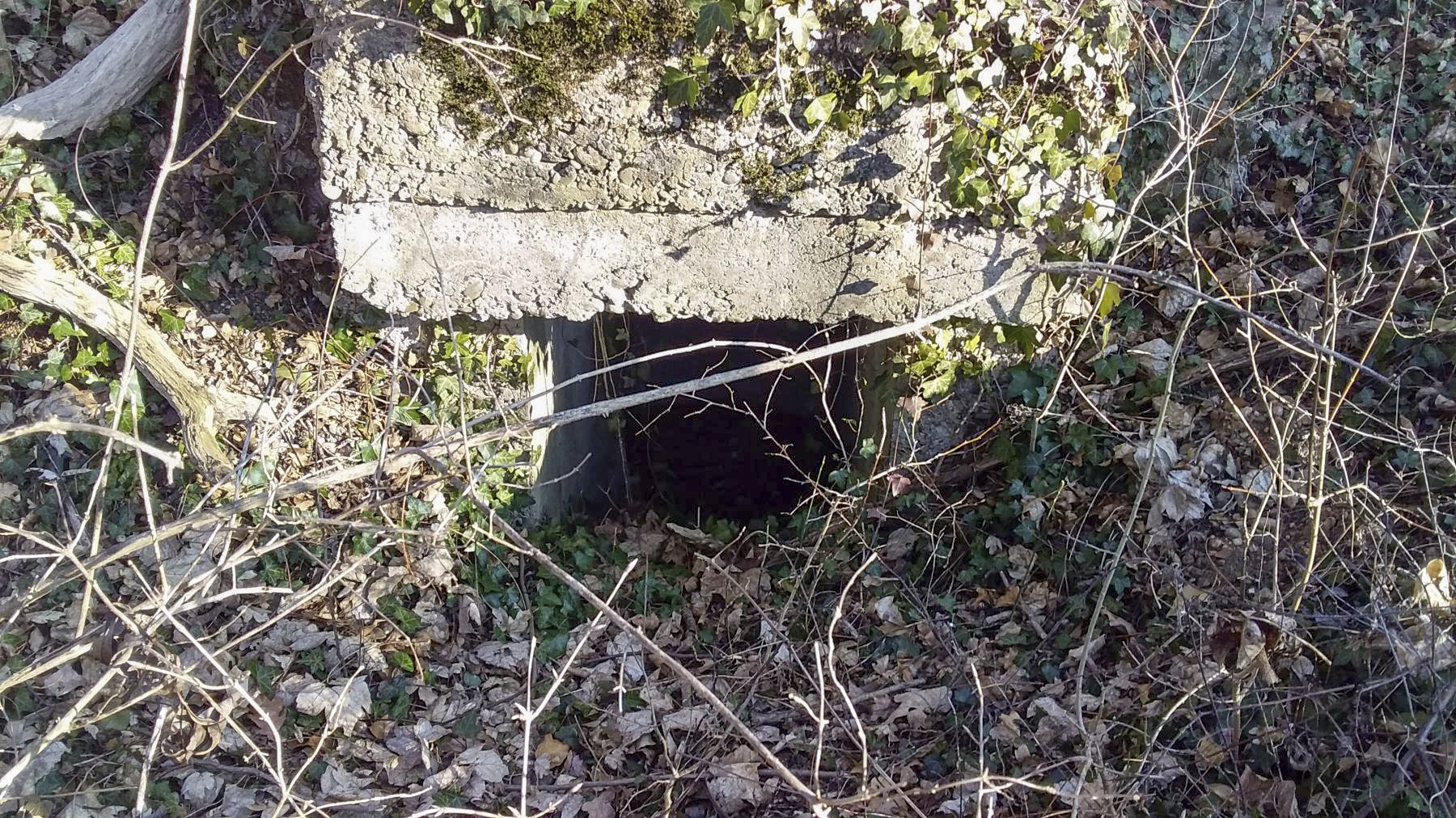 Ligne Maginot - AKAZIEN - GOLDGRUBE 3 - (Blockhaus pour arme infanterie) - Première entrée partiellement bouchée - Joel Muntzinger