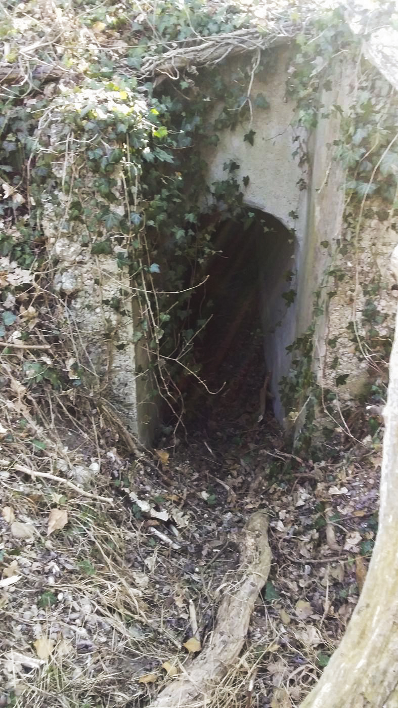 Ligne Maginot - AKAZIEN - GOLDGRUBE 3 - (Blockhaus pour arme infanterie) - Deuxième entrée - Joel Muntzinger